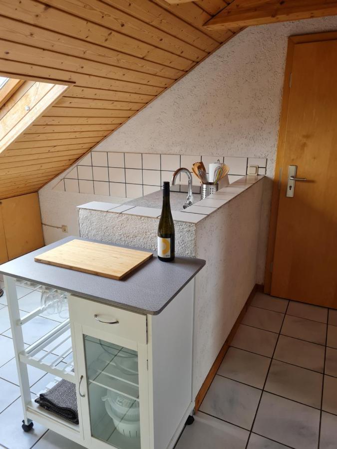Chagall - Helles Und Gemuetliches Appartement Nahe Der Historischen Altstadt Mainz Ngoại thất bức ảnh